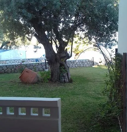 Margarita Rezort 4*