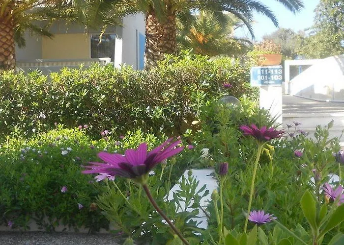 Margarita منتجع 4*