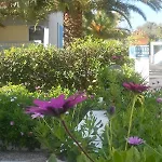 Margarita Resort 4*