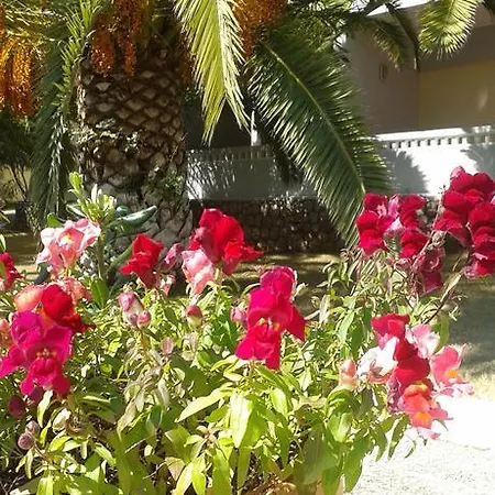 Margarita