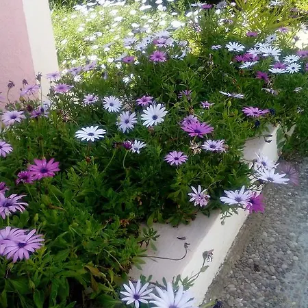 Feriested Margarita 4*