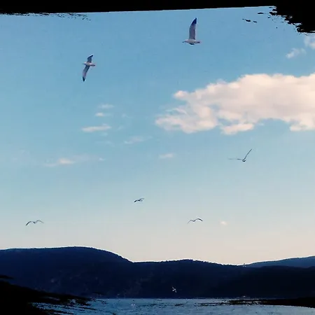 Margarita Resort Corinth