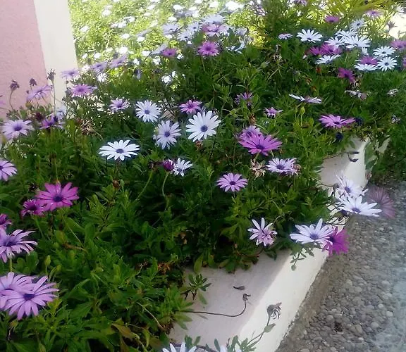 Θέρετρο Margarita 4*