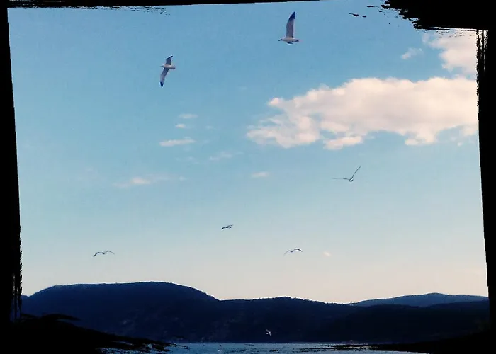 Margarita Rezort Corinth