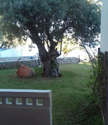 Margarita Θέρετρο 4*